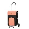 Andersen Scala Shopper Ipek Boodschappentrolley Abricot 1 Andersen Scala Shopper Ipek Boodschappentrolley Abricot -Reisopslagwinkel image 3013