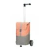 Andersen Unus Shopper Vigo Boodschappentrolley Abricot -Reisopslagwinkel image 3103