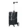 Andersen Unus Shopper Fun Mikkel Boodschappentrolley Black -Reisopslagwinkel image 3152