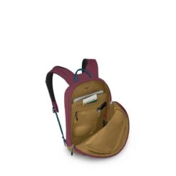 Osprey Arcane Small Day Allium Red/brindle Brown -Reisopslagwinkel image 3485