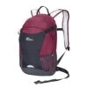 Jack Wolfskin Velocity 12 Hiking Pack Sangria Red 2 Jack Wolfskin Velocity 12 Hiking Pack Sangria Red -Reisopslagwinkel image 4207