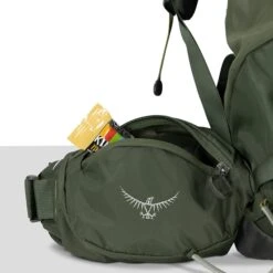 Osprey Kestrel 58 L/XL Bonsai Green -Reisopslagwinkel image 4239