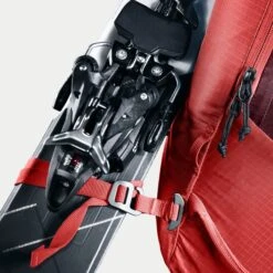 Deuter Freerider 28 SL Backpack Currant-maron -Reisopslagwinkel image 4354