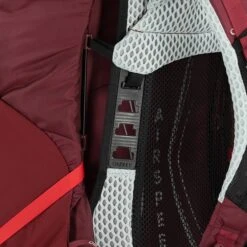 Osprey Aura AG LT 65 WM/L Antidote Purple 30 Osprey Aura AG LT 65 WM/L Antidote Purple -Reisopslagwinkel image 5236