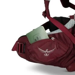 Osprey Aura AG LT 65 WM/L Antidote Purple 33 Osprey Aura AG LT 65 WM/L Antidote Purple -Reisopslagwinkel image 5239