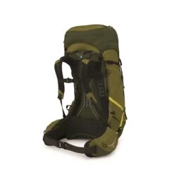 Osprey Atmos AG LT 50 S/M Scenic Valley/green Peppercorn -Reisopslagwinkel image 5316