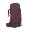 Osprey Kyte 58 WXS/S Elderberry Purple -Reisopslagwinkel image 5504