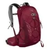 Osprey Talon 11 Backpack L/XL Cosmic Red 2 Osprey Talon 11 Backpack L/XL Cosmic Red -Reisopslagwinkel image 5818