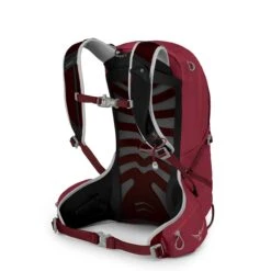 Osprey Talon 11 Backpack L/XL Cosmic Red -Reisopslagwinkel image 5819