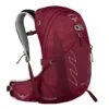 Osprey Talon 22 Backpack L/XL Cosmic Red