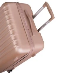 Decent Tranporto One Trolley 76 Zalm -Reisopslagwinkel image 941